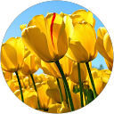 annusingh parihar profile picture